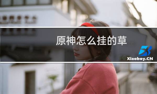 原神怎么挂的草