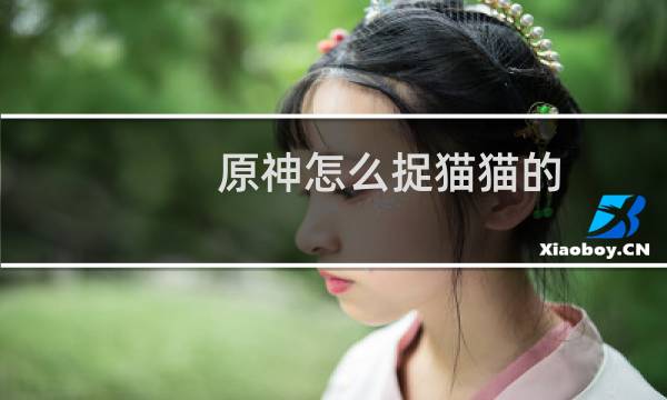 原神怎么捉猫猫的