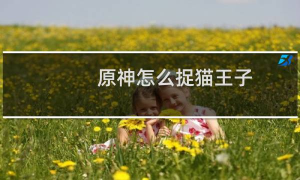 原神怎么捉猫王子
