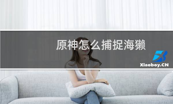 原神怎么捕捉海獭