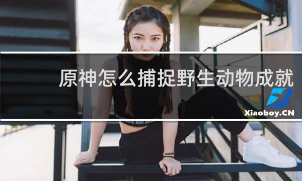 原神怎么捕捉野生动物成就
