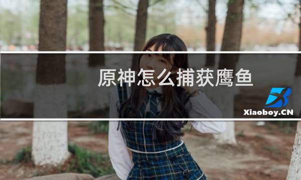 原神怎么捕获鹰鱼