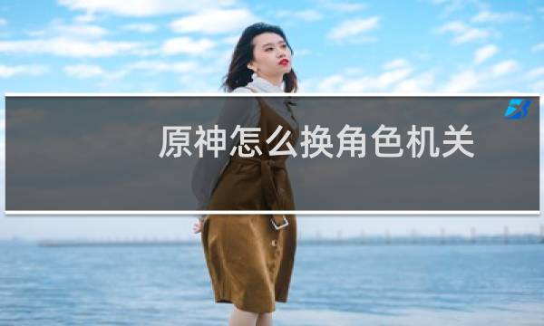 原神怎么换角色机关