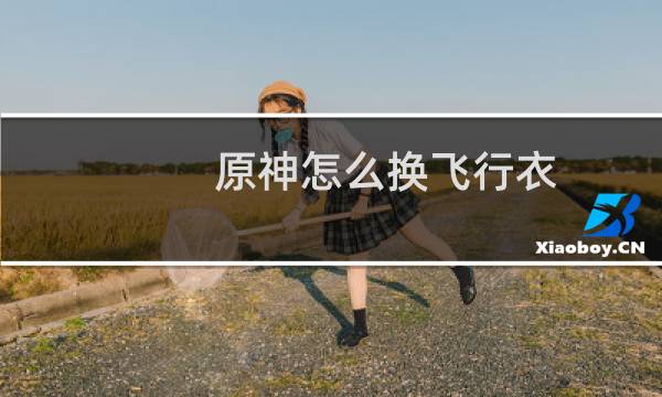 原神怎么换飞行衣
