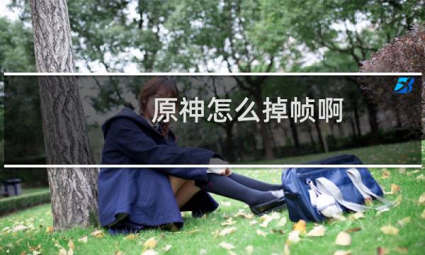 原神怎么掉帧啊