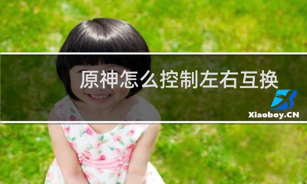 原神怎么控制左右互换