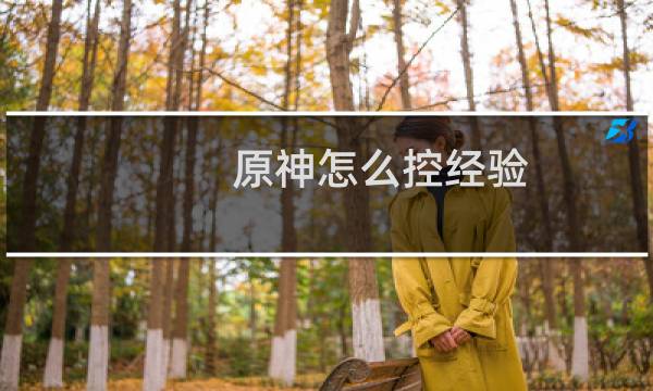原神怎么控经验