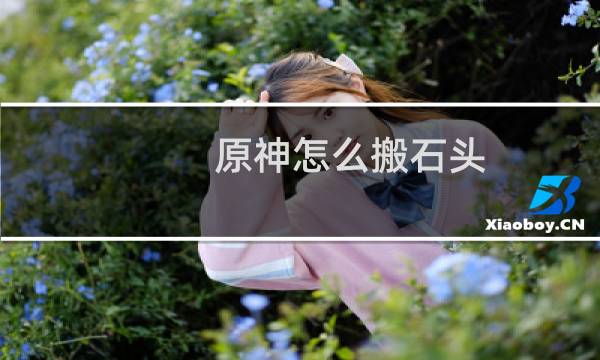 原神怎么搬石头