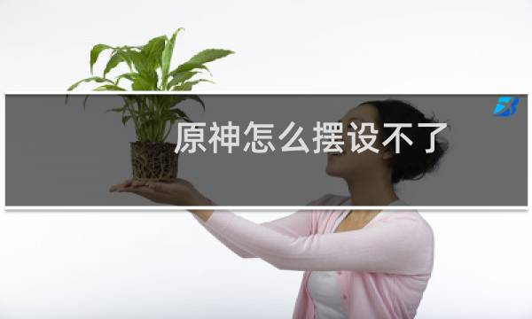 原神怎么摆设不了