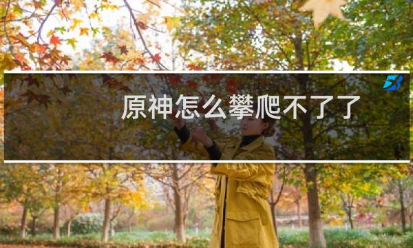 原神怎么攀爬不了了