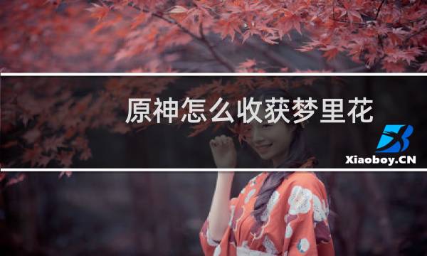 原神怎么收获梦里花