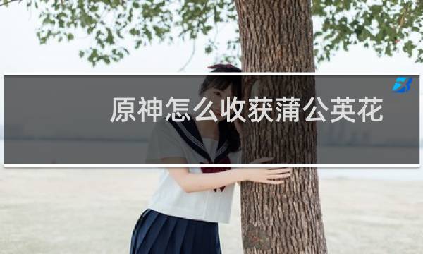 原神怎么收获蒲公英花