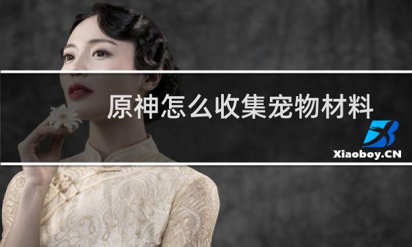 原神怎么收集宠物材料