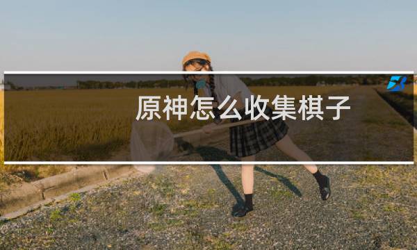 原神怎么收集棋子
