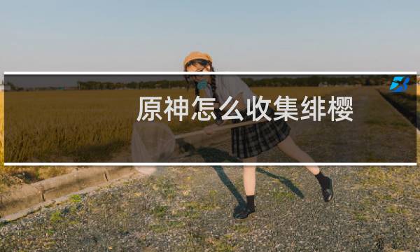 原神怎么收集绯樱