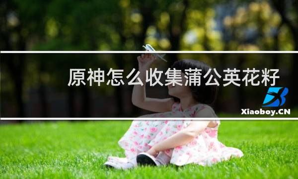 原神怎么收集蒲公英花籽