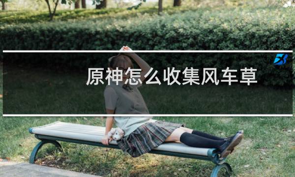 原神怎么收集风车草