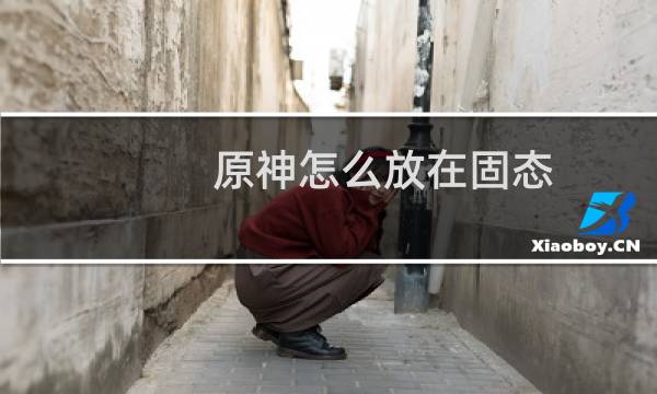 原神怎么放在固态