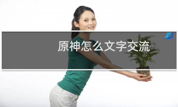 原神怎么文字交流