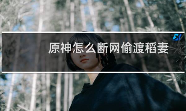 原神怎么断网偷渡稻妻