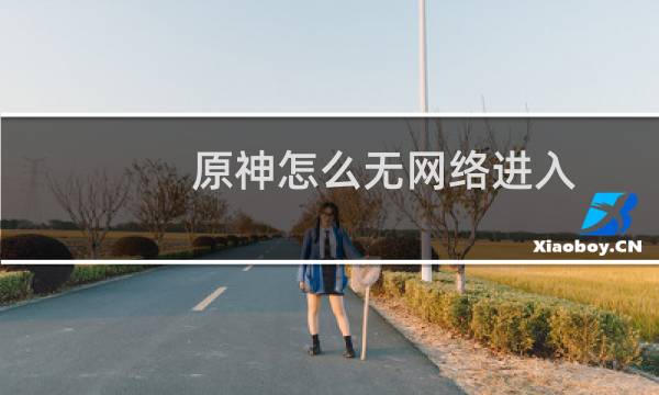 原神怎么无网络进入