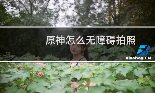 原神怎么无障碍拍照