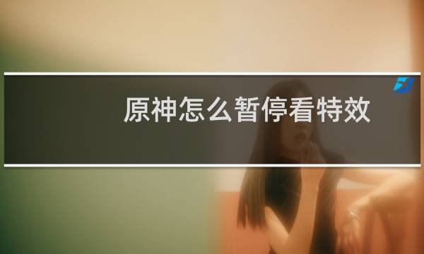原神怎么暂停看特效