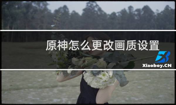 原神怎么更改画质设置