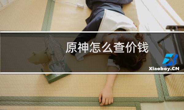 原神怎么查价钱