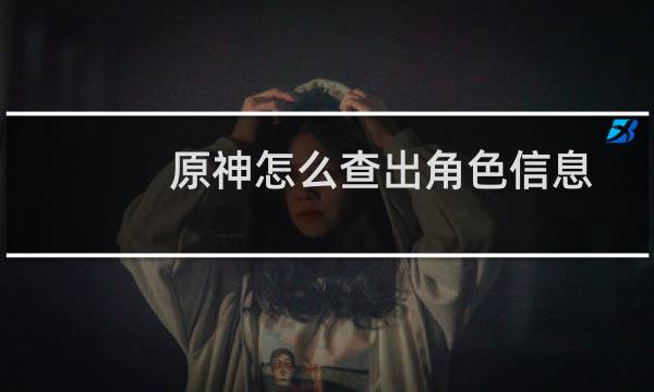 原神怎么查出角色信息