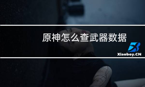 原神怎么查武器数据