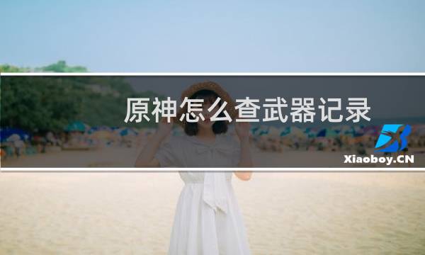 原神怎么查武器记录