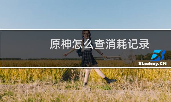 原神怎么查消耗记录