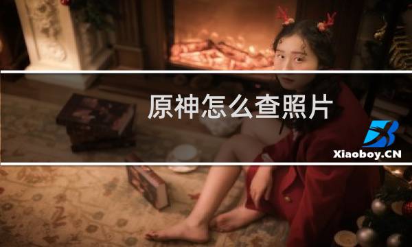 原神怎么查照片