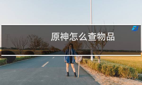 原神怎么查物品