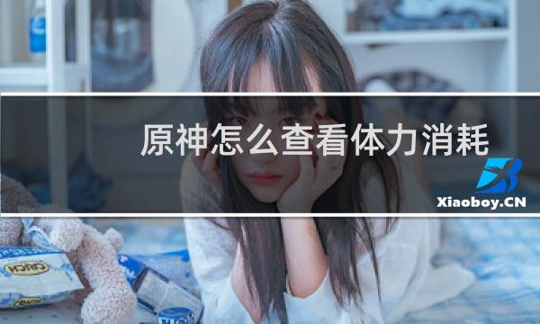 原神怎么查看体力消耗