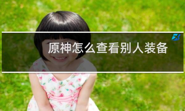 原神怎么查看别人装备