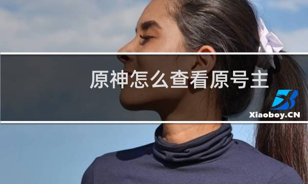 原神怎么查看原号主