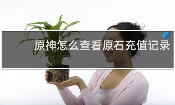 原神怎么查看原石充值记录
