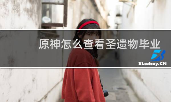 原神怎么查看圣遗物毕业