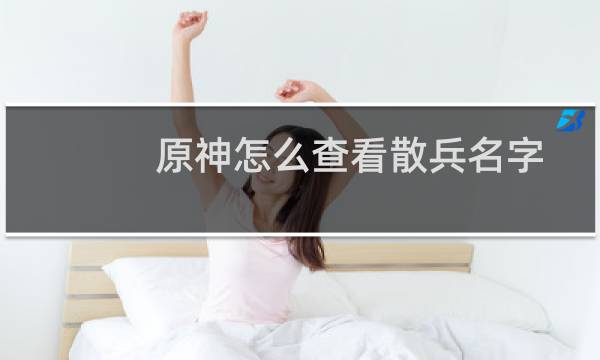 原神怎么查看散兵名字