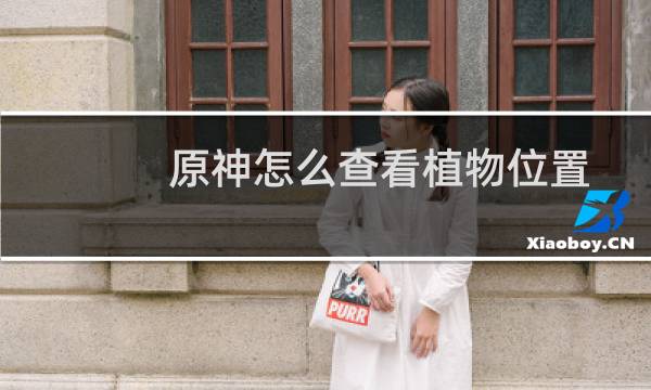 原神怎么查看植物位置