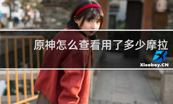 原神怎么查看用了多少摩拉