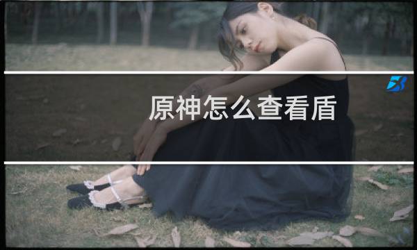 原神怎么查看盾