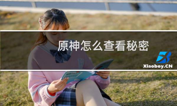 原神怎么查看秘密