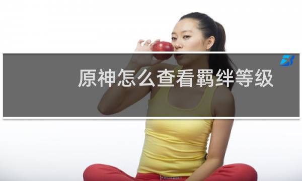 原神怎么查看羁绊等级