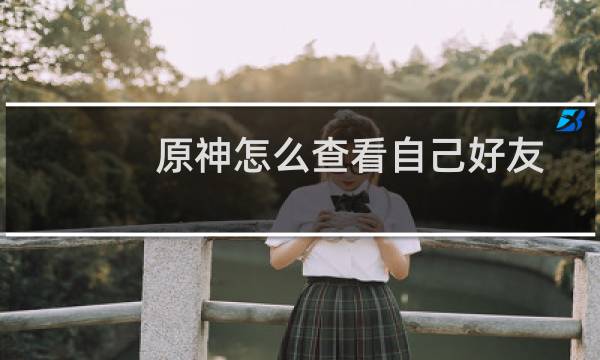 原神怎么查看自己好友