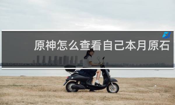 原神怎么查看自己本月原石