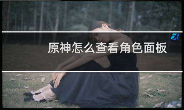 原神怎么查看角色面板