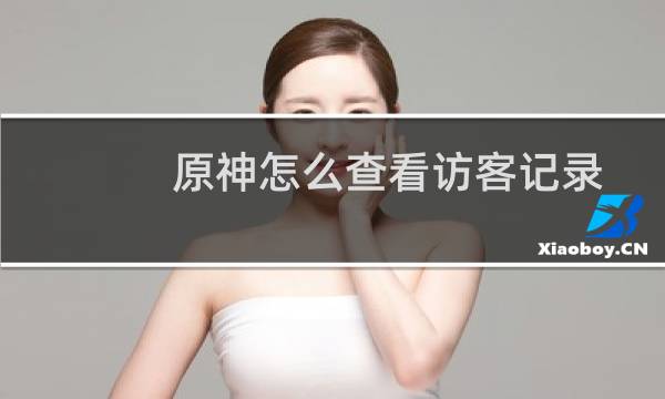 原神怎么查看访客记录